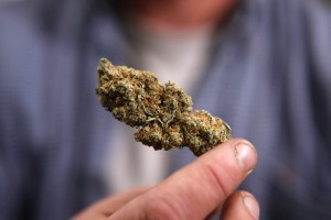 Is Medical Marijuana Right For You?