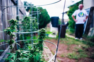 Is medical Marijuana Right For Me?